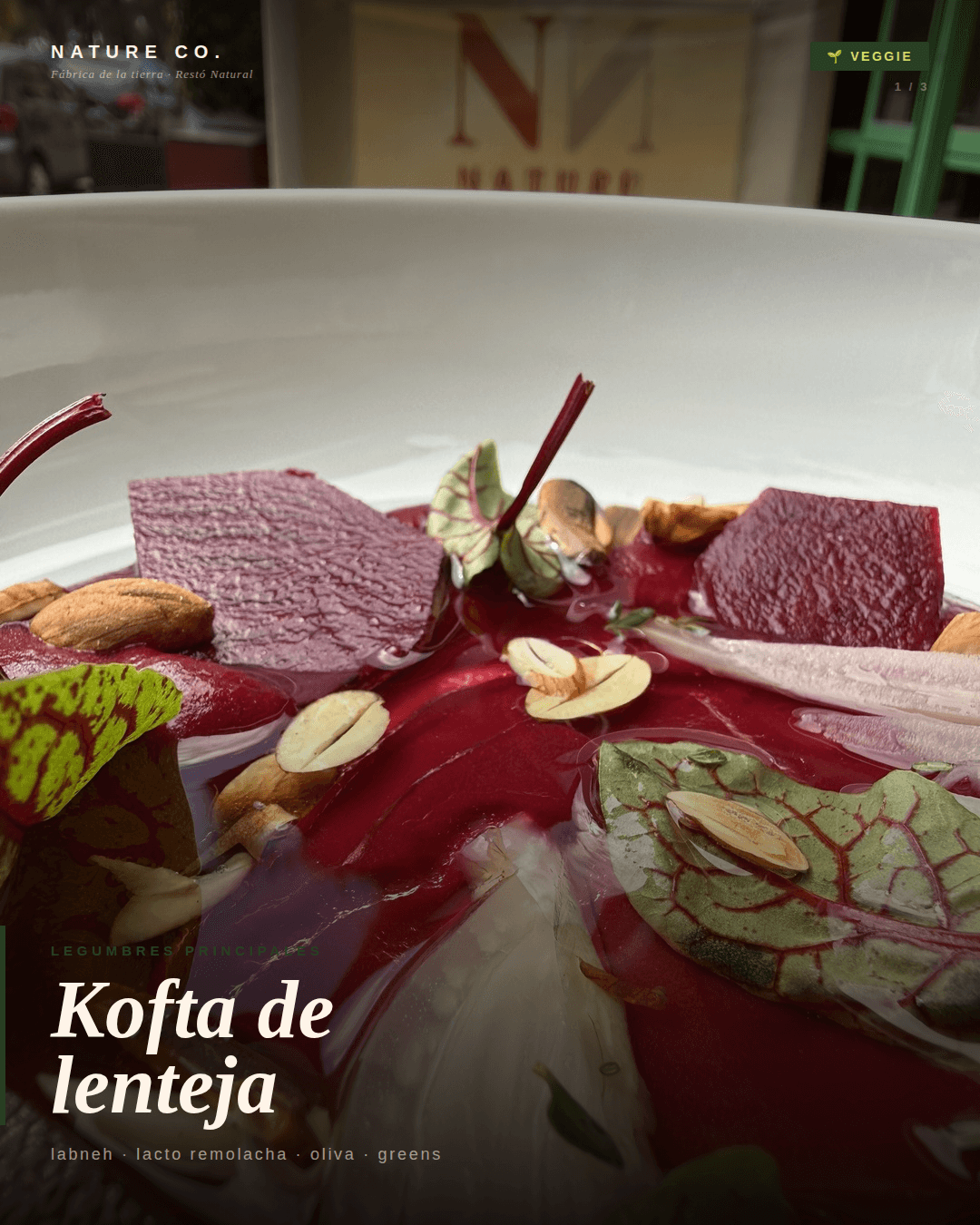 Plato 1