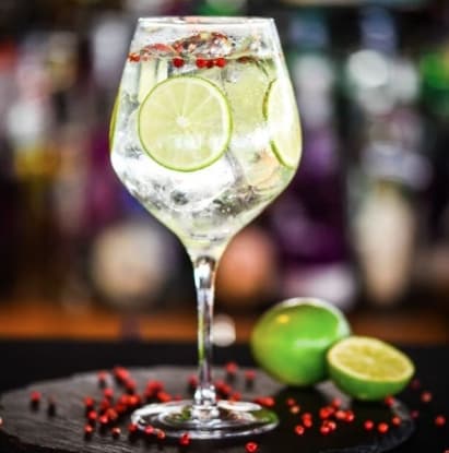 Gin Tonic Clasico