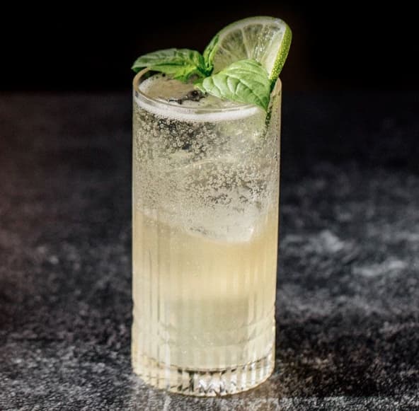 Tom Collins